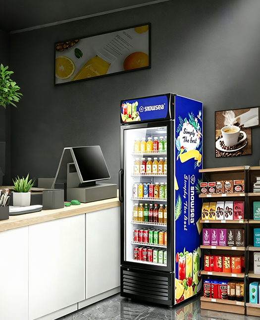 Large Capacity Display Design