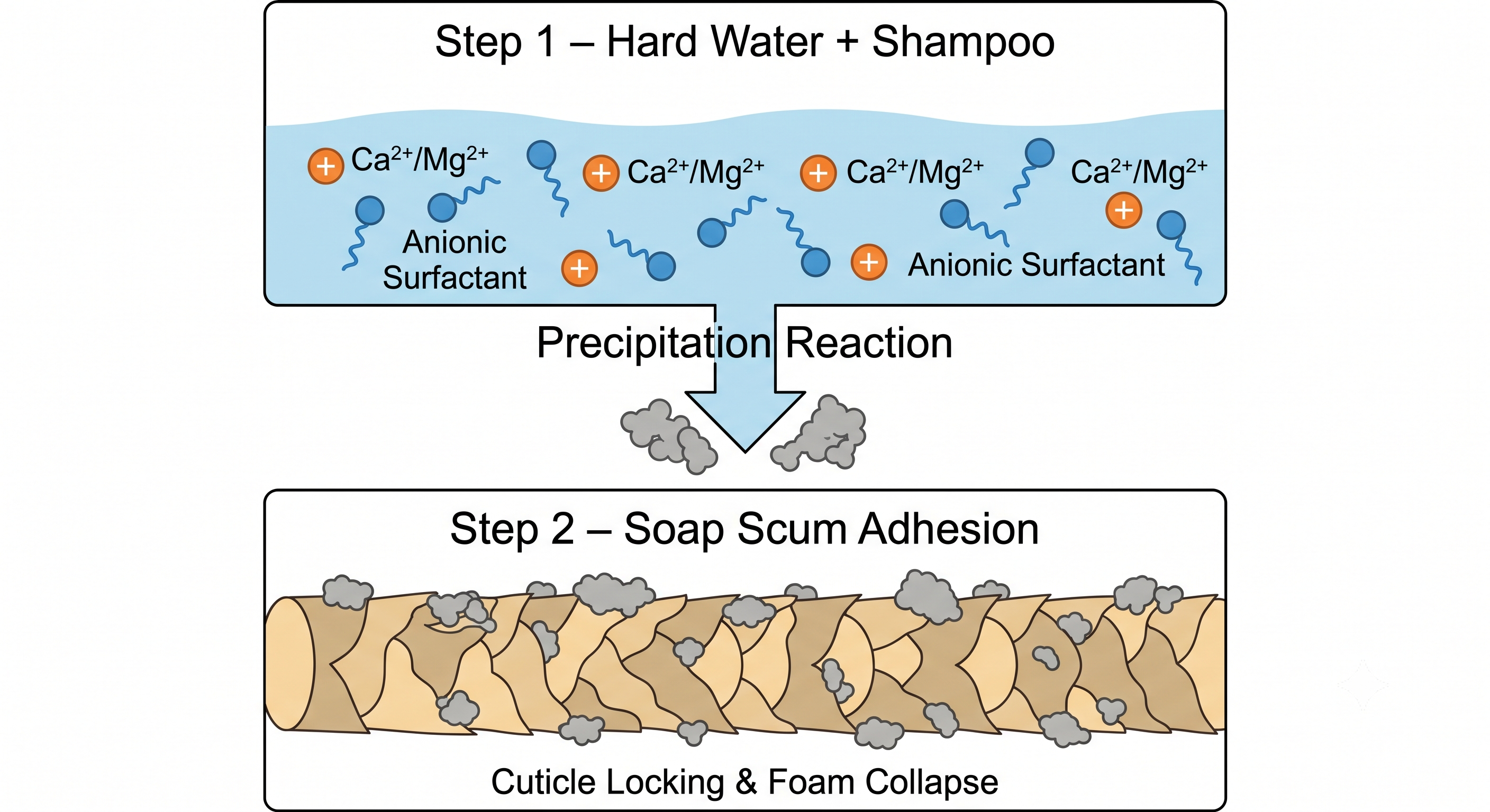 Scanning Electron Microscopy of Hair Cleansed in Hard Water vs Soft Water