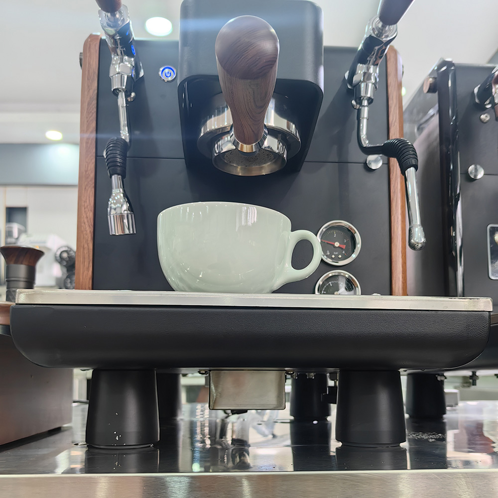 Zilong Dual-Boilers Single Group Coffee Machine