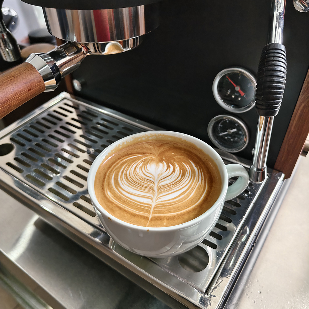 Zilong Dual-Boilers Single Group Coffee Machine