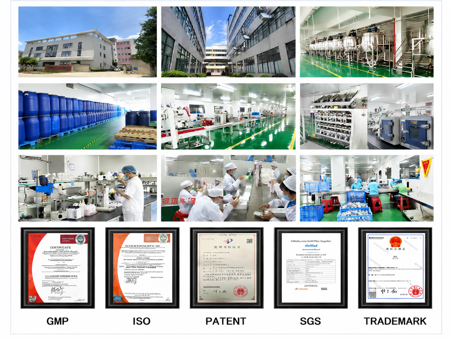ISO 22716認証取得済み受託製造施設の概要