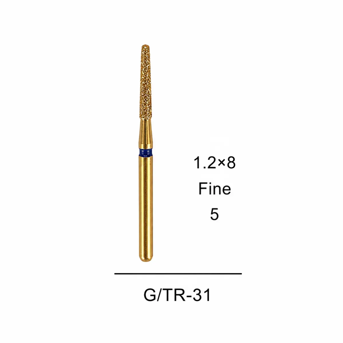 G/TR-31