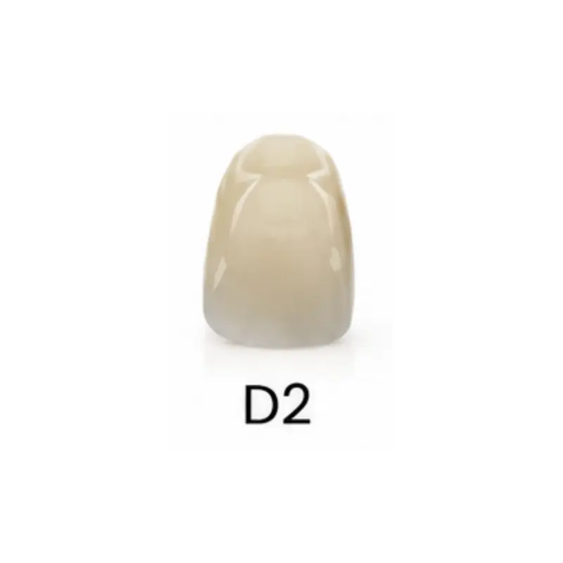 98*22mm-D2