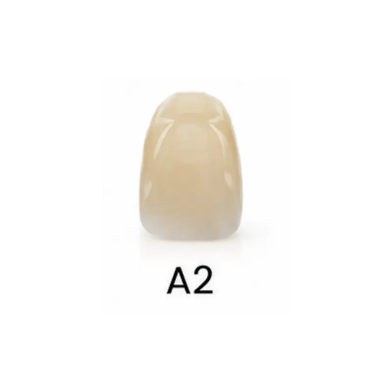 98*22mm-A2