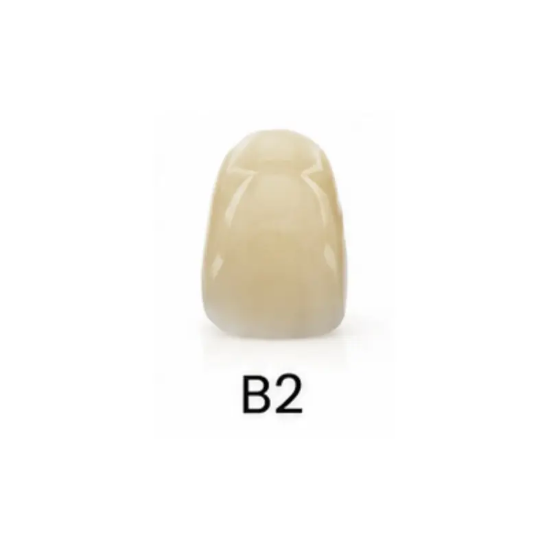 98*22mm-B2