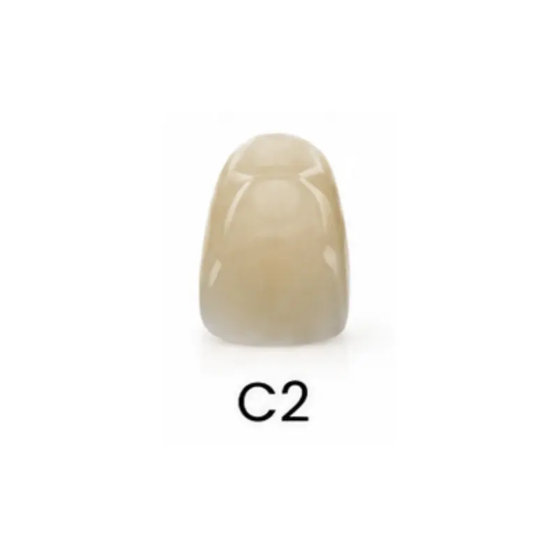 98*22mm-C2