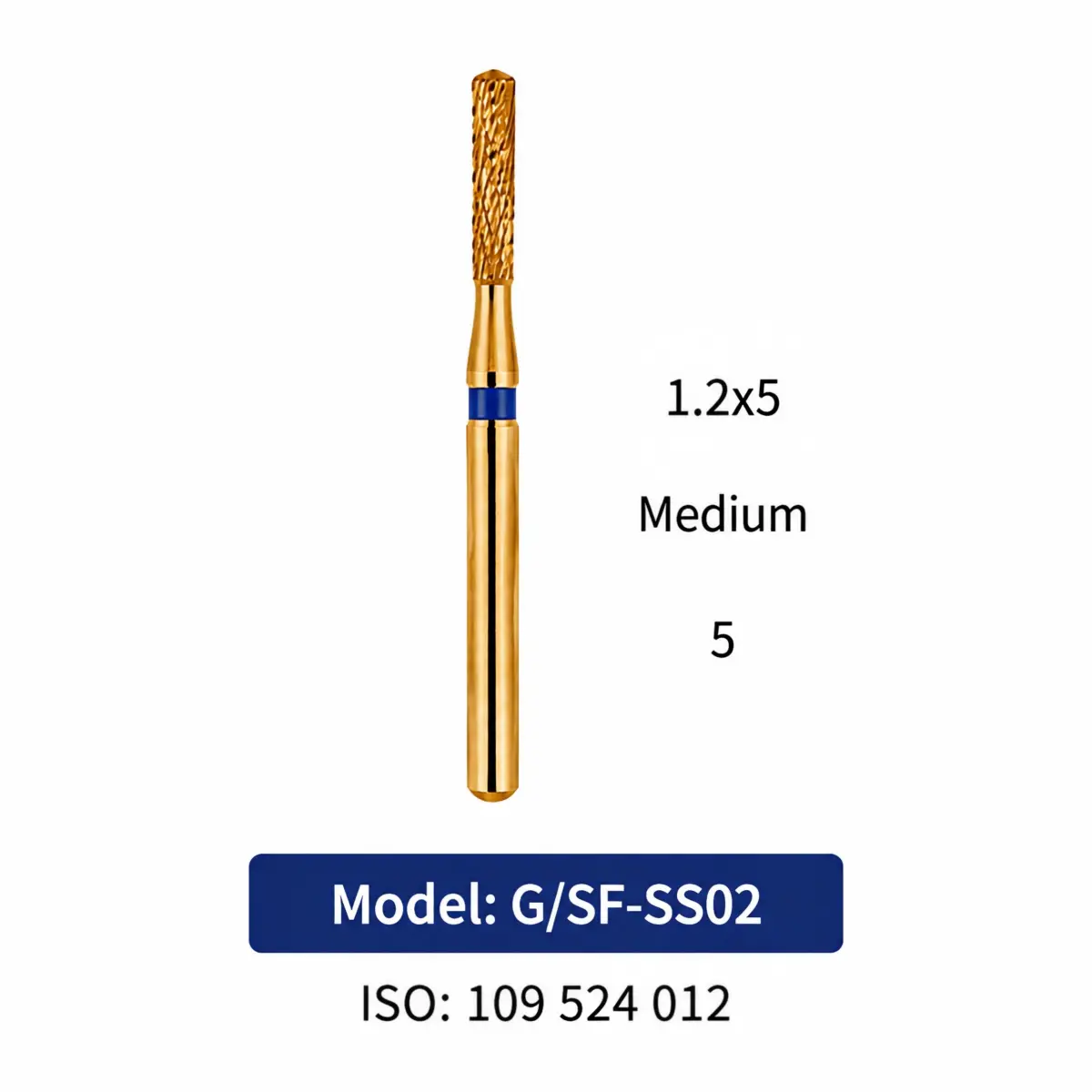G/SF-SS02